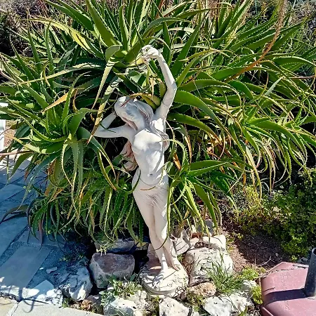 Séjour chez l'habitant Sunset Boutique Paphos