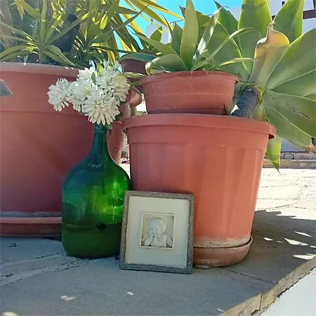 Séjour chez l'habitant Sunset Boutique Paphos